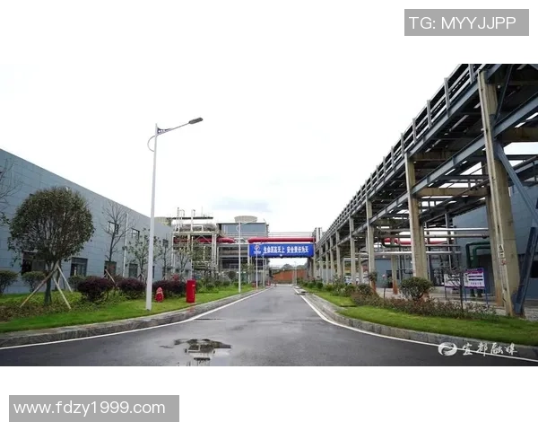 深圳排球队的蜕变之路:从传统强队到现代化竞技新标杆